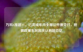 万科A涨超3%，已完成年内全部公开债兑付，抢抓政策东风国庆认购超百亿