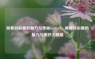 探索抖彩票的魅力与奥秘65.97.73，揭秘抖彩票的魅力与奥妙之精髓，探秘抖彩票魅力奥秘65.97.73 深度解读背后的精髓与秘籍