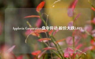 Applovin Corporation盘中异动 股价大跌5.04%