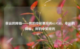 幸运的降临——我的中彩票经历65.97.83，幸运的降临，我的中奖经历，幸运降临，我的中奖经历65.97.83