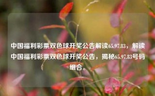 中国福利彩票双色球开奖公告解读65.97.83，解读中国福利彩票双色球开奖公告，揭秘65.97.83号码组合。，解读双色球开奖，福彩秘密公式隐藏65.97.83这一强大的组合成因指南。