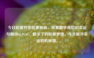 今日彩票开奖结果查询，探索数字背后的幸运与期待65.97.67，数字下的彩票梦境，今天解开幸运转机秘境。，幸运彩民—探析幸运背后和彩票梦乡中的奥秘秘境数字开奖，65.97.67揭晓