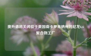 奥升德将关闭位于美国南卡罗来纳州的尼龙6,6聚合物工厂