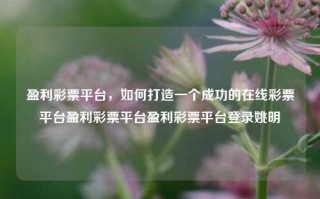 盈利彩票平台，如何打造一个成功的在线彩票平台盈利彩票平台盈利彩票平台登录姚明