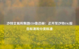 沙特交易所集团CEO鲁迈赫：正开发沙特ESG报告标准和分类标准