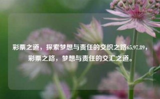 彩票之道，探索梦想与责任的交织之路65.97.89，彩票之路，梦想与责任的交汇之道。，彩票之路，梦想与责任的交汇之道