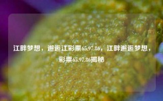 江畔梦想，邂逅江彩票65.97.86，江畔邂逅梦想，彩票65.97.86揭秘，江畔邂逅梦想，探寻彩票65.97.86的奥秘