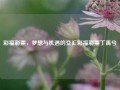 彩福彩票，梦想与机遇的交汇彩福彩票丁禹兮