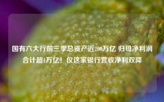 国有六大行前三季总资产近200万亿 归母净利润合计超1万亿！仅这家银行营收净利双降