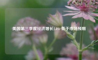 美国第三季度经济增长2.8% 低于市场预期