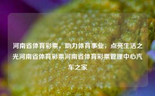 河南省体育彩票，助力体育事业，点亮生活之光河南省体育彩票河南省体育彩票管理中心汽车之家