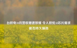 台积电10月营收增速放缓 令人担忧AI芯片需求能否持久强劲