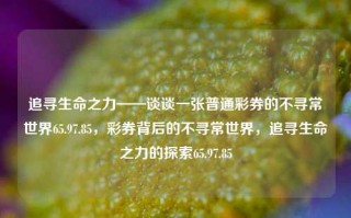 追寻生命之力——谈谈一张普通彩券的不寻常世界65.97.85，彩券背后的不寻常世界，追寻生命之力的探索65.97.85，探寻彩券背后的生命之力之旅