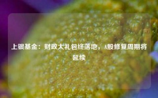 上银基金：财政大礼包终落地，A股修复周期将延续