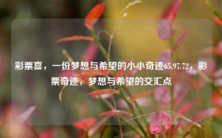 彩票喜，一份梦想与希望的小小奇迹65.97.72，彩票奇迹，梦想与希望的交汇点，彩票奇迹，梦想与希望的交汇点