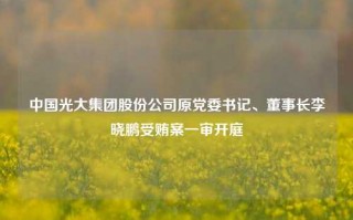 中国光大集团股份公司原党委书记、董事长李晓鹏受贿案一审开庭