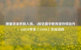 增量资金积极入场，A股估值中枢有望持续抬升，A50ETF华宝（159596）交投活跃