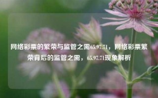 网络彩票的繁荣与监管之需65.97.71，网络彩票繁荣背后的监管之需，65.97.71现象解析，网络彩票繁荣背后的监管之需探析，65.97.71现象解析