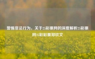 警惕非法行为，关于25彩票网的深度解析25彩票网25彩彩票郑钦文