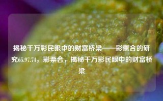 揭秘千万彩民眼中的财富桥梁——彩票合的研究65.97.74，彩票合，揭秘千万彩民眼中的财富桥梁，彩票合的奥秘，揭秘千万彩民眼中的财富桥梁