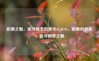 彩票之魅，追寻概率的微光65.97.91，彩票的微光，追寻概率之魅，彩票之魅，追寻概率的微光