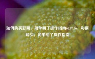 如何购买彩票，简单明了操作指南65.97.86，彩票购买，简单明了操作指南，如何轻松购买彩票 - 简单明了操作指南 65.97.86