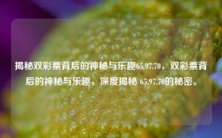 揭秘双彩票背后的神秘与乐趣65.97.70，双彩票背后的神秘与乐趣，深度揭秘 65.97.70的秘密。，双彩票背后的神秘与乐趣，深度揭秘65.97.70的秘密