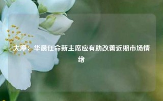 大摩：华晨任命新主席应有助改善近期市场情绪