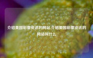 介绍美国彩票资讯的网站,介绍美国彩票资讯的网站叫什么