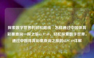 探索数字世界的轻松路线 - 怎样通过中国体育彩票查询一探之旅65.97.69，轻松探索数字世界，通过中国体育彩票查询之旅的65.97.69详解，轻松探索数字世界，中国体育彩票查询之旅65.97.69详解