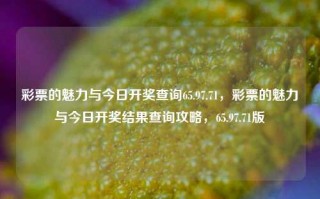 彩票的魅力与今日开奖查询65.97.71，彩票的魅力与今日开奖结果查询攻略，65.97.71版，彩票魅力与今日开奖结果快速查询攻略 65.97.71版