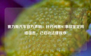 赛力斯汽车官方声明：针对问界M7事故鉴定网络谣言，已启动法律程序