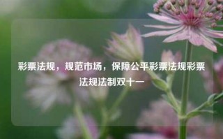 彩票法规，规范市场，保障公平彩票法规彩票法规法制双十一