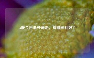 A股今日低开高走，有哪些利好？