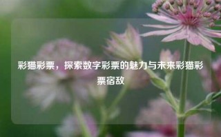 彩猫彩票，探索数字彩票的魅力与未来彩猫彩票宿敌