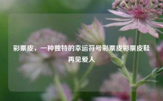 彩票皮，一种独特的幸运符号彩票皮彩票皮鞋再见爱人