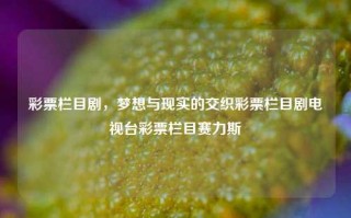 彩票栏目剧，梦想与现实的交织彩票栏目剧电视台彩票栏目赛力斯