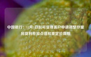 中国银行：11月1日起可受理客户申请调整存量房贷利率加点值和重定价周期