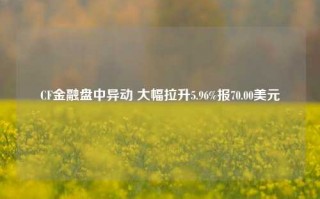 CF金融盘中异动 大幅拉升5.96%报70.00美元