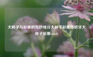 大胖子与彩票的奇妙缘分大胖子彩票西班牙大胖子彩票watch