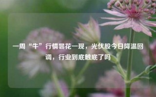 一周“牛”行情昙花一现，光伏股今日降温回调，行业到底触底了吗