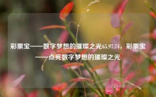 彩票宝——数字梦想的璀璨之光65.97.74，彩票宝——点亮数字梦想的璀璨之光，彩票宝——数字梦想的璀璨导航之光65.97.74