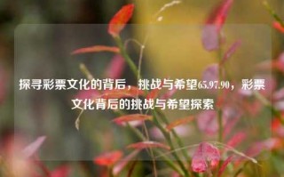 探寻彩票文化的背后，挑战与希望65.97.90，彩票文化背后的挑战与希望探索，彩票文化背后的挑战与希望探寻，揭秘65.97.90彩票产业的深刻寓意