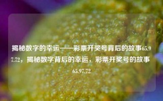 揭秘数字的幸运——彩票开奖号背后的故事65.97.72，揭秘数字背后的幸运，彩票开奖号的故事 65.97.72，揭秘数字背后的幸运，彩票开奖号65.97.72的故事