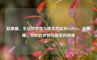 彩票桶，生活的梦想与现实的交织65.97.81，彩票桶，交织的梦想与现实的碰撞，彩票桶，生活的梦想与现实的碰撞交织