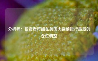 分析师：投资者可能在美国大选前进行最后的仓位调整