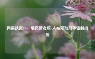 网易跌近6%，爆高管贪腐9人被采取刑事强制措施