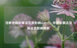 浅析中国彩票法及其影响65.97.72，中国彩票法及其社会影响探析，浅析中国彩票法及其影响及其深层含义探索