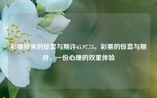 彩票带来的惊喜与期许65.97.75，彩票的惊喜与期待，一份心理的双重体验，彩票惊喜与期待，心理的双重体验之旅