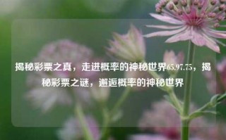 揭秘彩票之真，走进概率的神秘世界65.97.75，揭秘彩票之谜，邂逅概率的神秘世界，揭秘彩票之谜，邂逅概率的神秘世界65.97.75